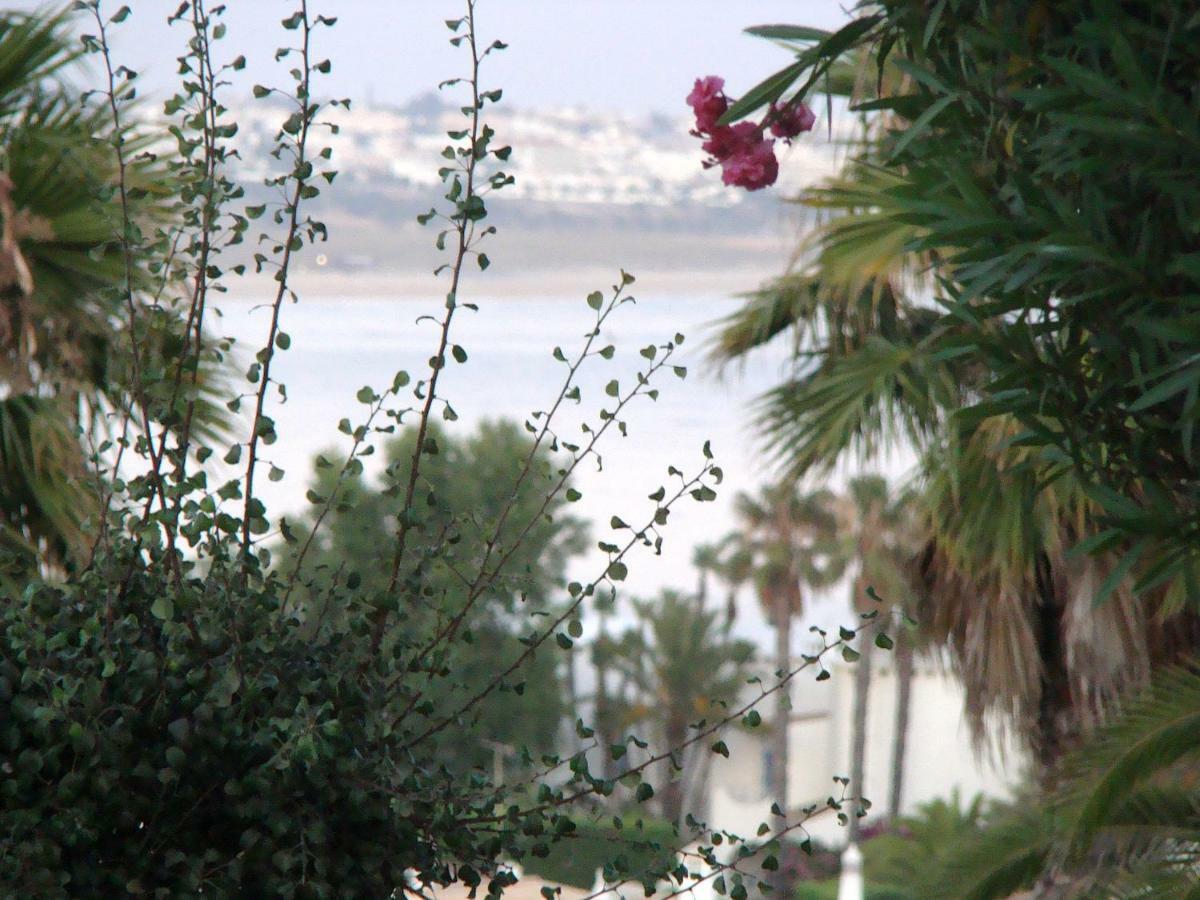 Armação de Pêra Villa 39 מראה חיצוני תמונה